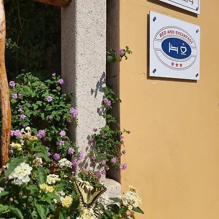 Al Pez Exclusive Frühstückspension