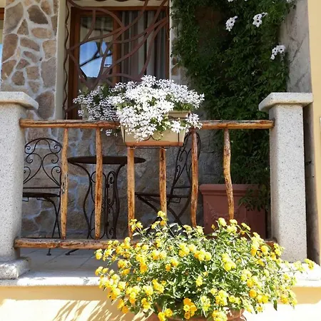 Frühstückspension Al Pez Exclusive Olbia