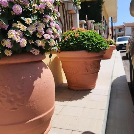 Al Pez Exclusive فندق مبيت وإفطار