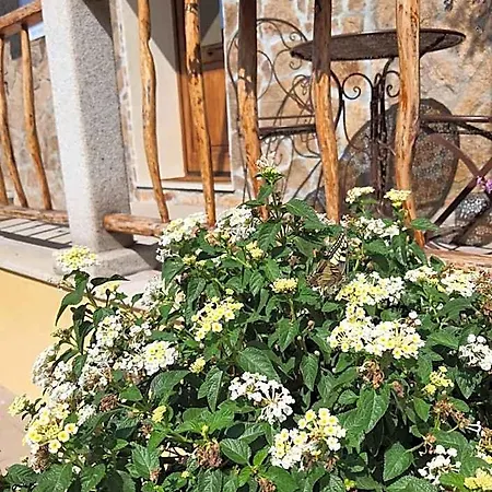 Bed & Breakfast Al Pez Exclusive 3*