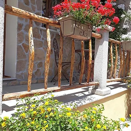 B&B Al Pez Exclusive 3*
