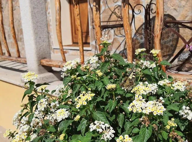 Oda ve Kahvaltı Al Pez Exclusive 3*