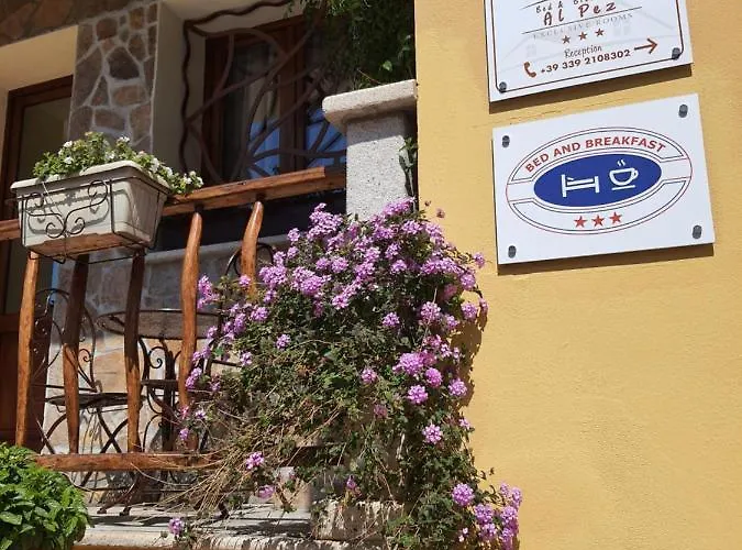 Al Pez Exclusive Oda ve Kahvaltı 3*