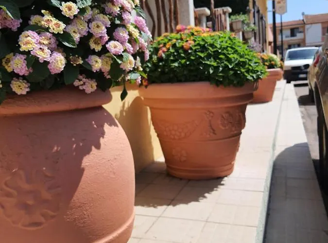 Al Pez Exclusive Oda ve Kahvaltı